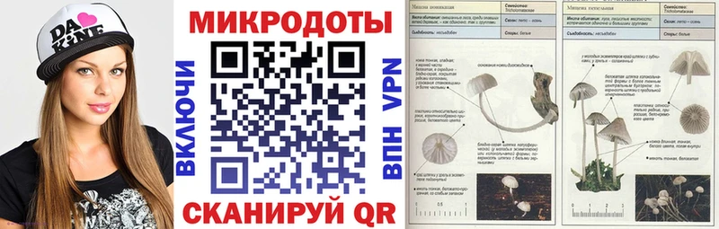 Псилоцибиновые грибы MAGIC MUSHROOMS Томилино