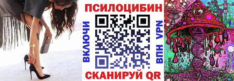 Псилоцибиновые грибы Cubensis  Томилино 